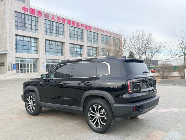 Haval Dachdog 2022 1.5T 2WD Border Collie – фото 9