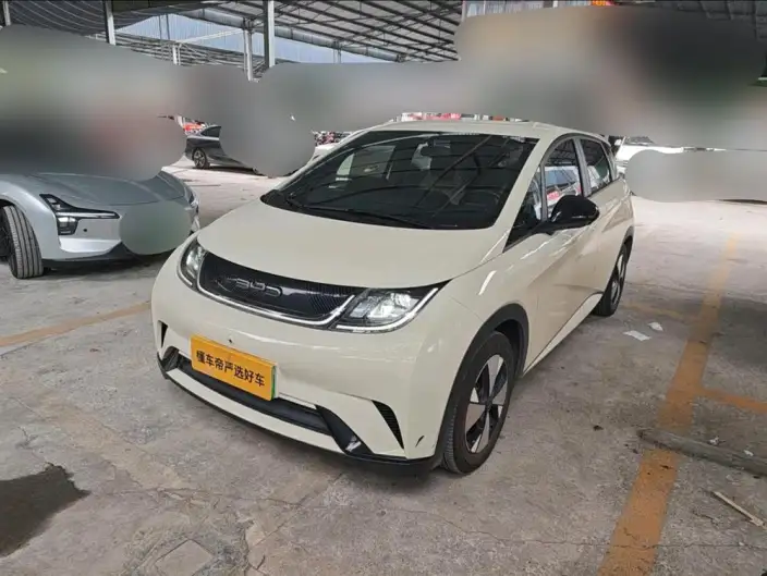 BYD Dolphin 2023 Model Free Edition