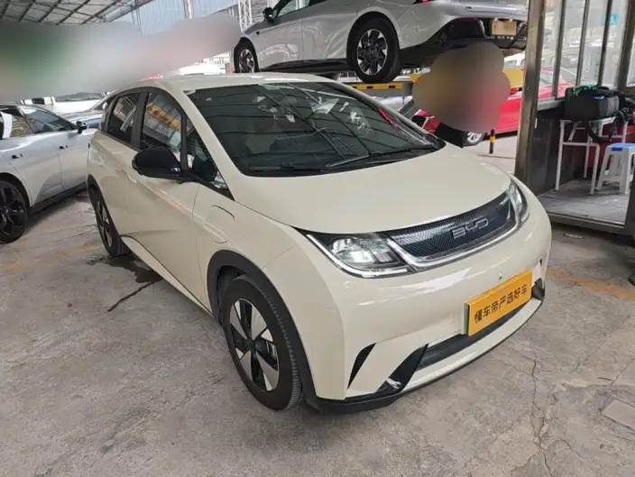 BYD Dolphin 2023 Model Free Edition