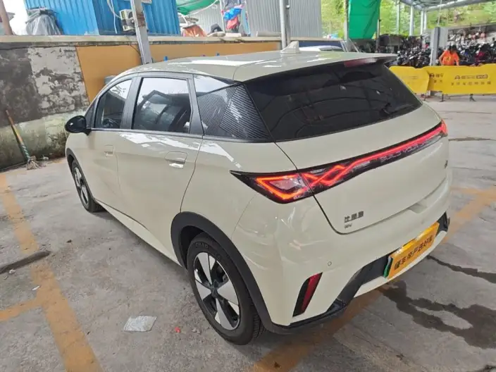 BYD Dolphin 2023 Model Free Edition