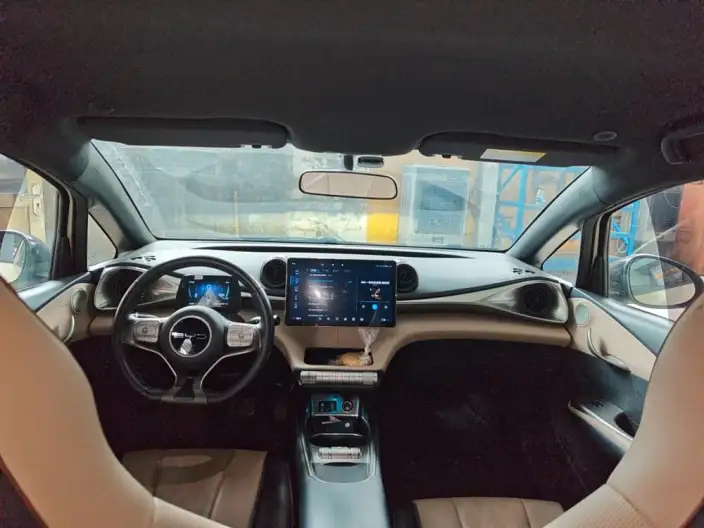 BYD Dolphin 2023 Model Free Edition – фото 6