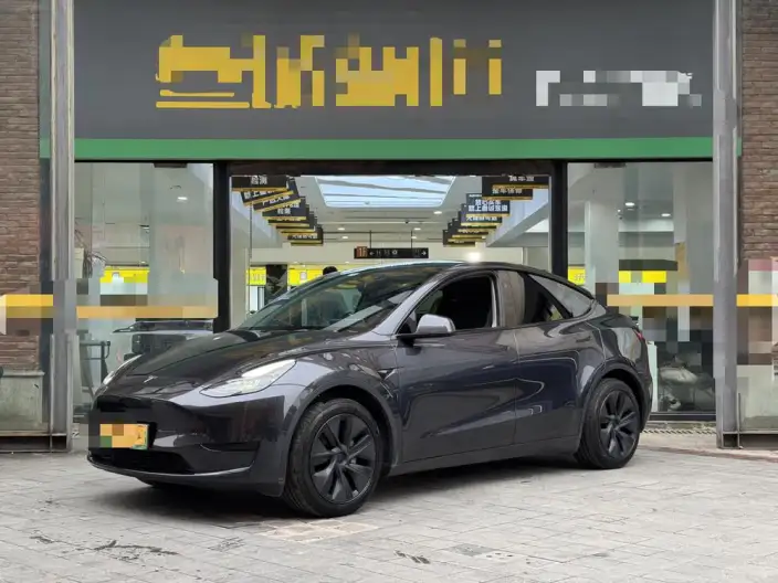 Model Y 2024 Model Rear-wheel drive version – фото 1