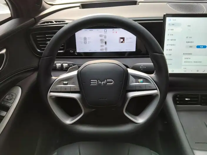 Sea Lion 06DM 2025 Model DM-i 205KM Pilot Plus Edition – фото 8