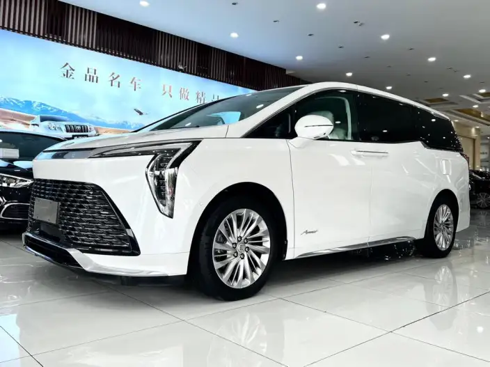 Century 2023 Model 2.0T VI seat Yunshi Edition