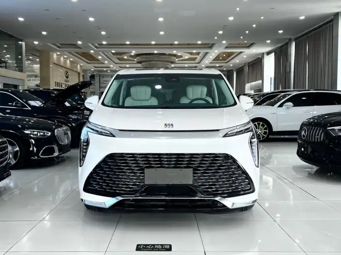 Century 2023 Model 2.0T VI seat Yunshi Edition