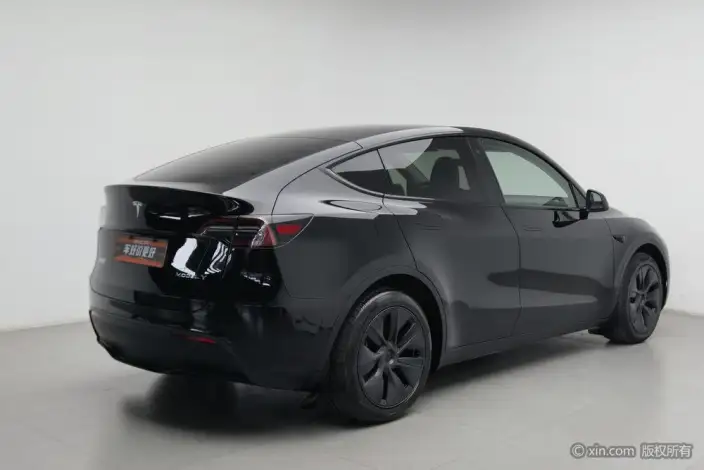 Model Y 2023 Model Long Battery Life Pro All-wheel drive version – фото 4