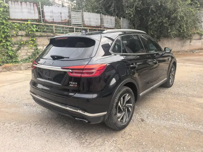 Hongqi HS5 2022 Model 2.0T Smart Flag Enjoy Edition