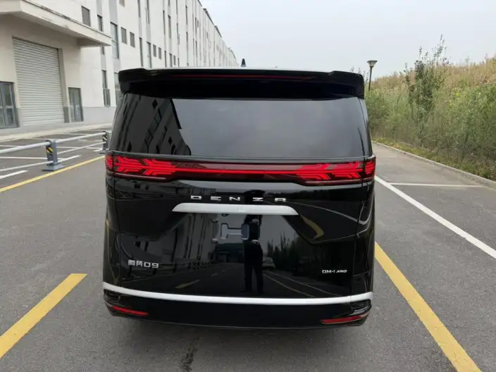 DENZA D9 DM 2022 Model 970 4WD Flagship Model – фото 5