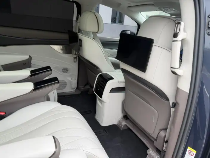 DENZA D9 DM 2022 Model 970 4WD Flagship Model – фото 9