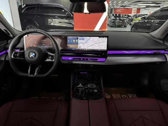 BMW 5 Series 2025 Model 530Li Leading Model M Sports Set – фото 8