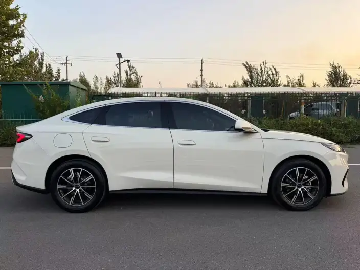 BYD Seal 06 DM 2024 Model DM-i 80KM Luxury Model – фото 8