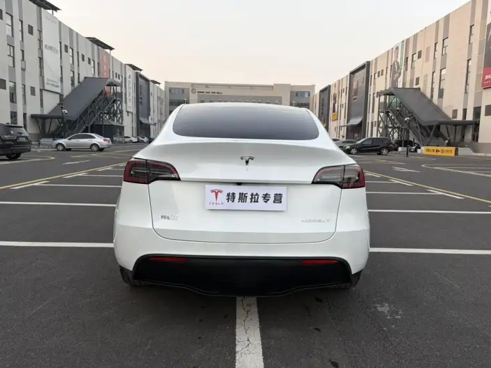 Model Y 2024 Model Rear-wheel drive version – фото 5
