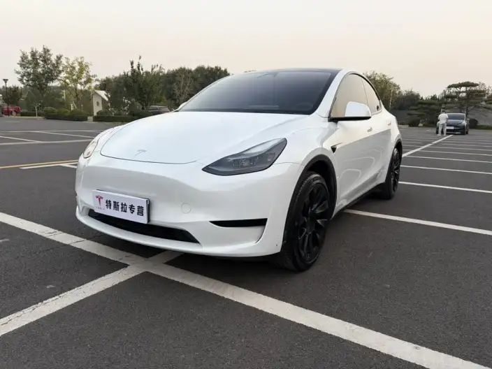 Model Y 2024 Model Rear-wheel drive version – фото 10