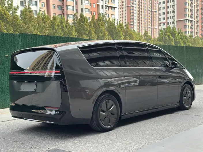 Li Auto MEGA 2025 Model Home Family Special Edition – фото 6
