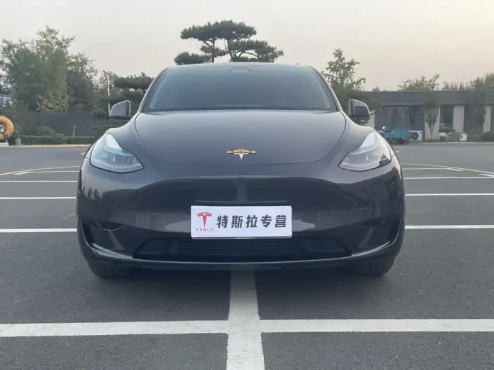 Model Y 2024 Model Rear-wheel drive version – фото 2
