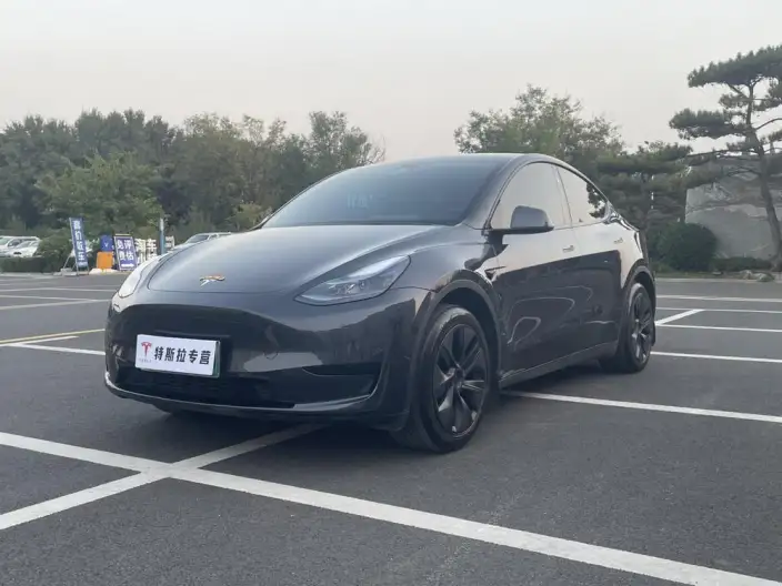 Model Y 2024 Model Rear-wheel drive version – фото 10