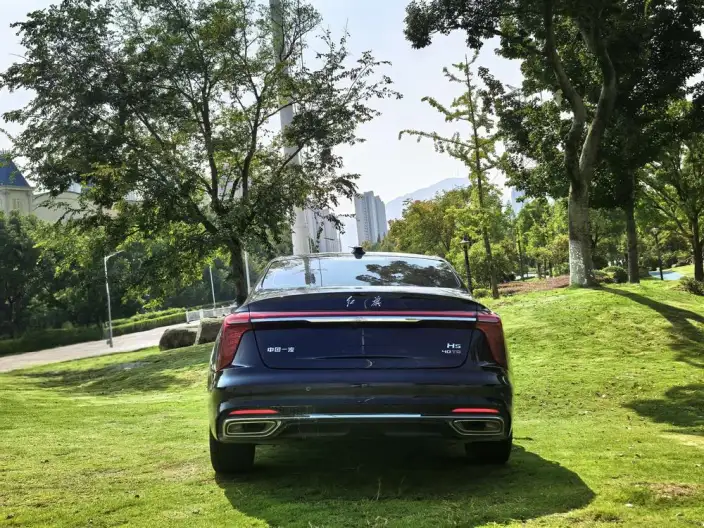 Hongqi H5 2025 Model 2.0T Automatic Flag Enjoy Edition – фото 5