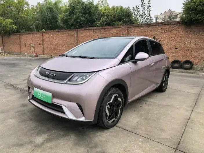 BYD Dolphin 2021 Model Fashion Edition