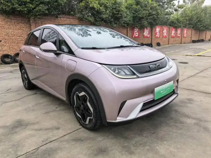 BYD Dolphin 2021 Model Fashion Edition