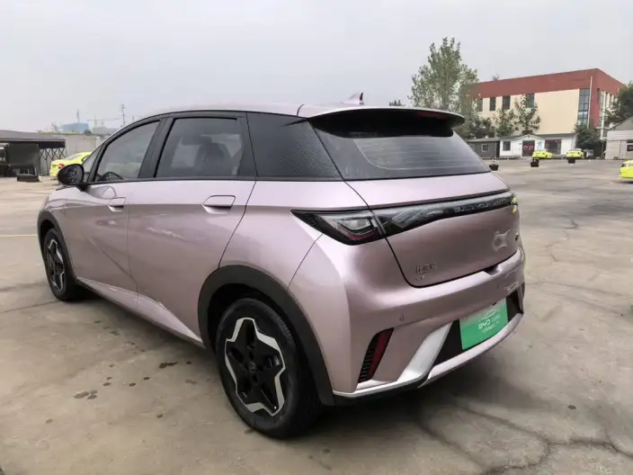BYD Dolphin 2021 Model Fashion Edition