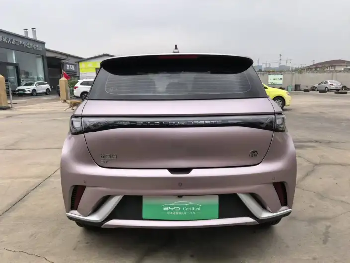 BYD Dolphin 2021 Model Fashion Edition