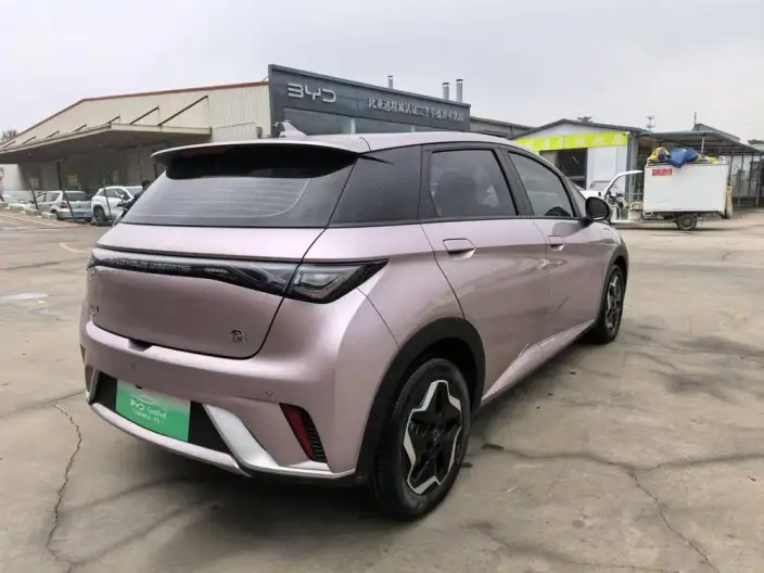 BYD Dolphin 2021 Model Fashion Edition – фото 5