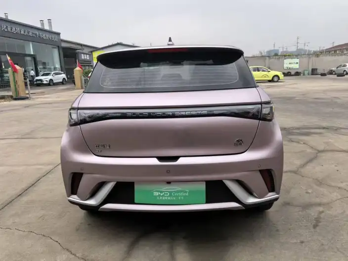 BYD Dolphin 2021 Model Fashion Edition – фото 6