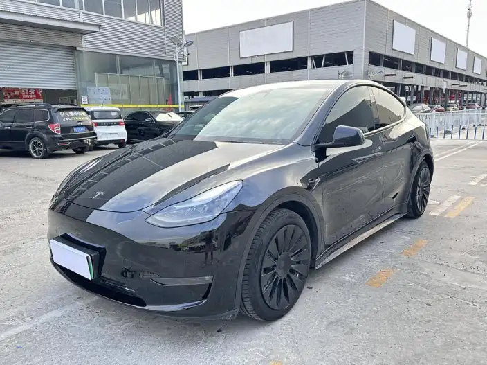 Model Y 2021 Model Standard Battery Life Rear-wheel drive version – фото 1