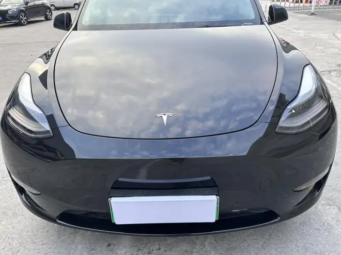 Model Y 2021 Model Standard Battery Life Rear-wheel drive version – фото 6