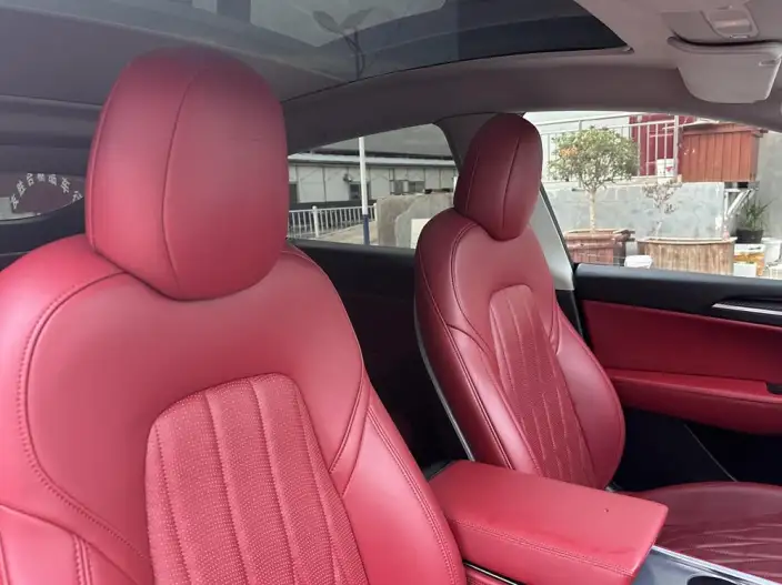 Model Y 2021 Model Standard Battery Life Rear-wheel drive version – фото 10
