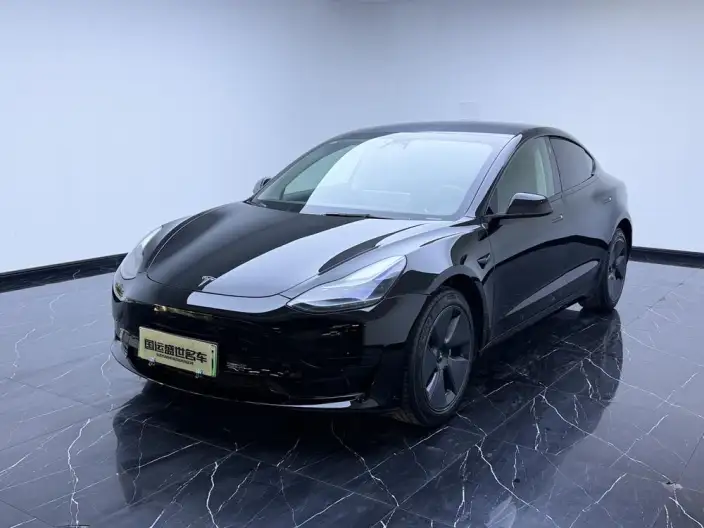 Model 3 2022 Model Rear-wheel drive version – фото 1