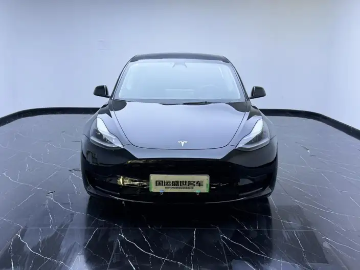 Model 3 2022 Model Rear-wheel drive version – фото 2