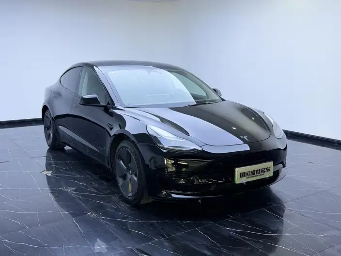 Model 3 2022 Model Rear-wheel drive version – фото 3