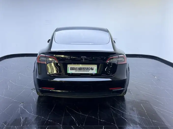 Model 3 2022 Model Rear-wheel drive version – фото 5