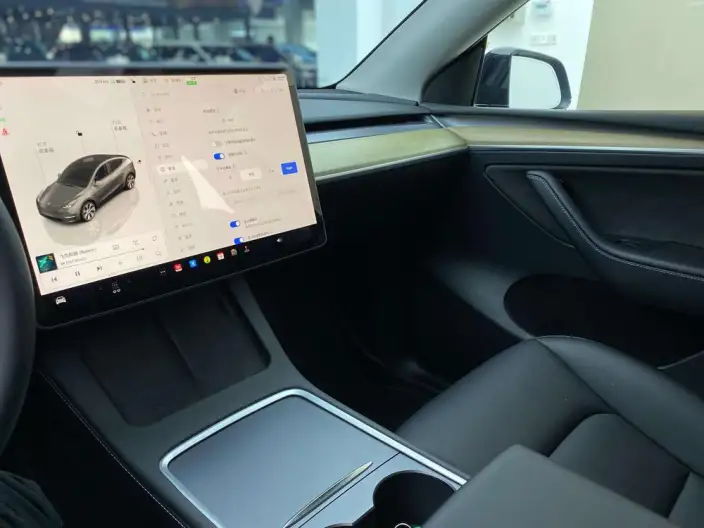 Model Y 2022 Model Facelift Rear-wheel drive version – фото 10