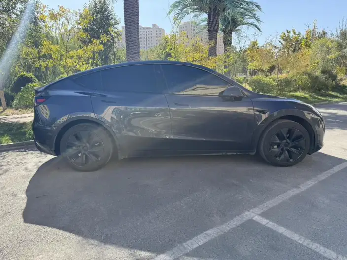 Model Y 2024 Model Rear-wheel drive version – фото 6