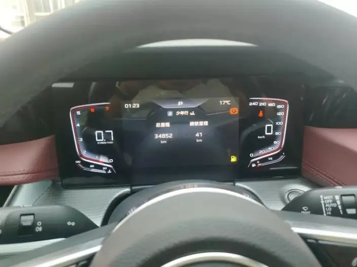 Hongqi H5 2023 Model 2.0T Automatic Flag Enjoy Edition – фото 10