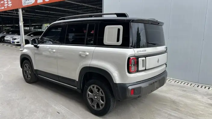 Yueye Plus 2024 Model Zhizun Edition – фото 5