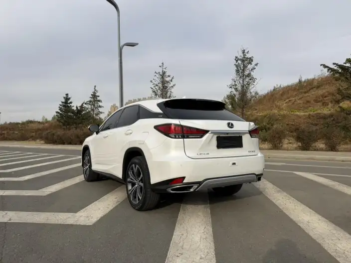 Lexus RX 2020 Model Facelift 300 4WD Elegant Edition
