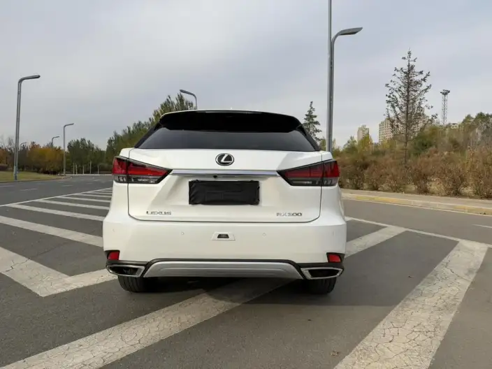 Lexus RX 2020 Model Facelift 300 4WD Elegant Edition – фото 5