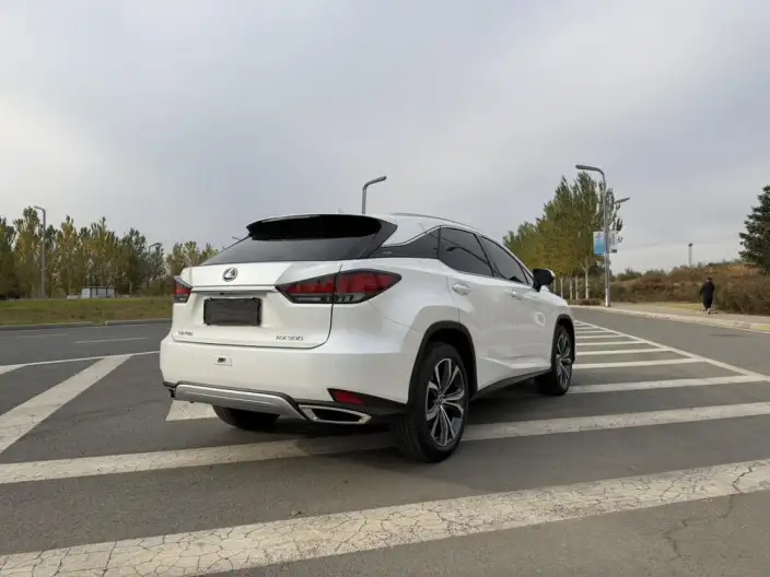 Lexus RX 2020 Model Facelift 300 4WD Elegant Edition – фото 6