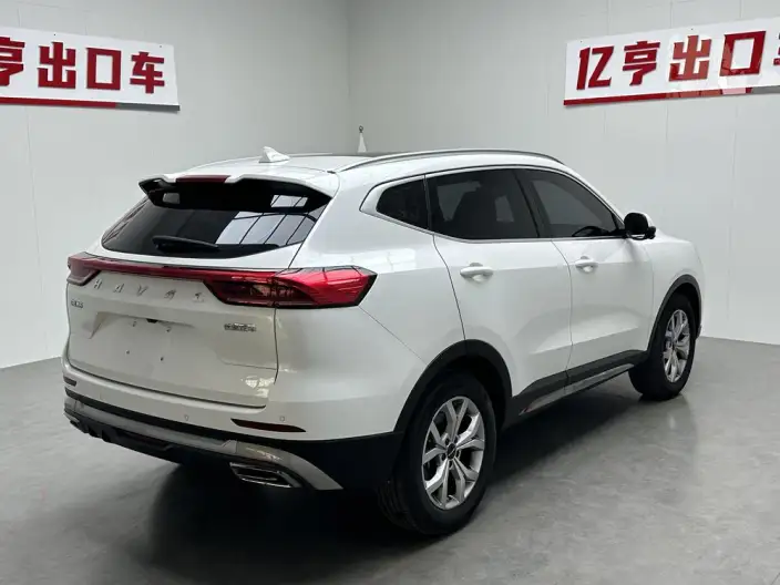 Haval H6 2021 Model Guo Trendy Edition 1.5T Automatic Champion Edition – фото 6