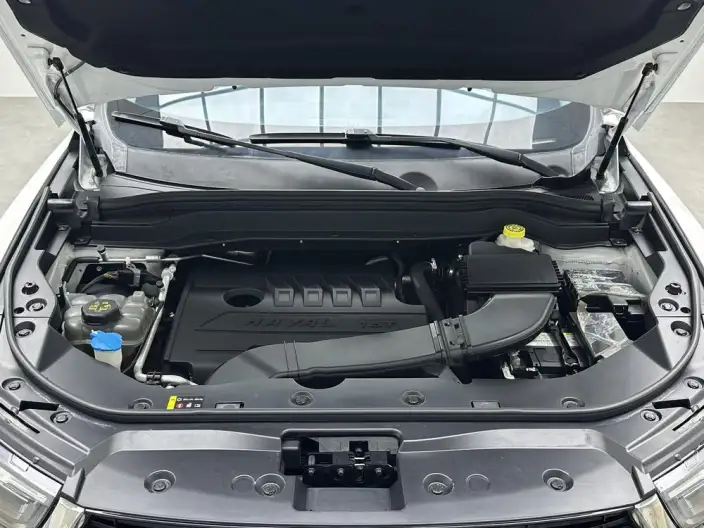 Haval H6 2021 Model Guo Trendy Edition 1.5T Automatic Champion Edition – фото 7