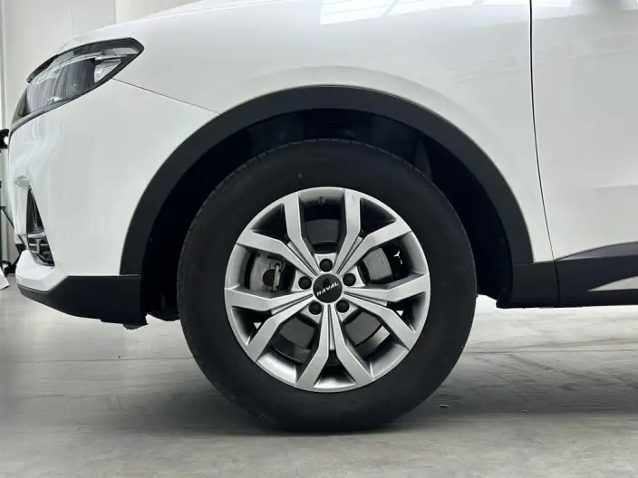 Haval H6 2021 Model Guo Trendy Edition 1.5T Automatic Champion Edition – фото 9