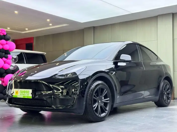 Model Y 2023 Model Long Battery Life Pro All-wheel drive version – фото 1
