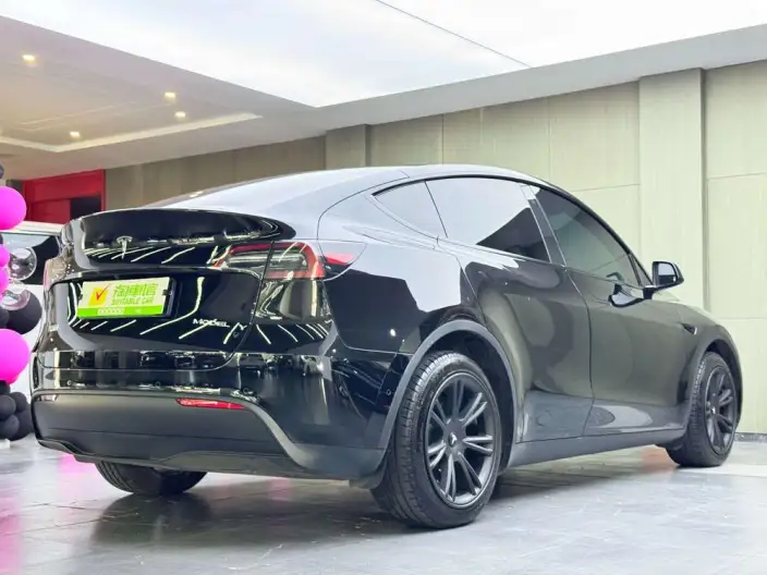 Model Y 2023 Model Long Battery Life Pro All-wheel drive version – фото 6