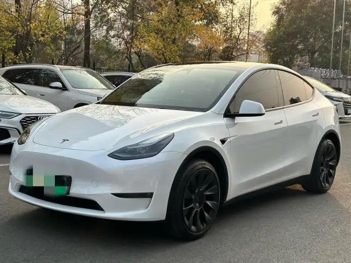 Model Y 2023 Model Long Battery Life Pro All-wheel drive version – фото 1