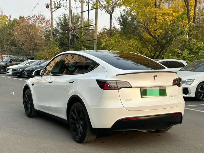 Model Y 2023 Model Long Battery Life Pro All-wheel drive version – фото 4