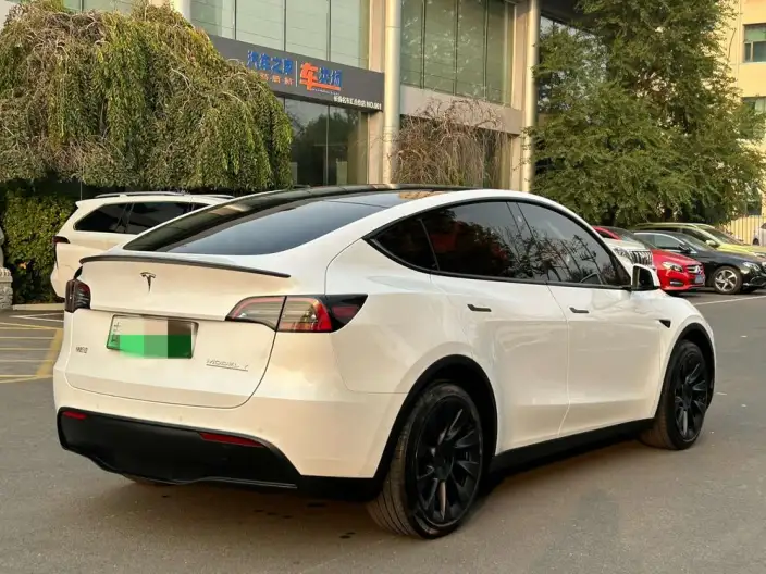 Model Y 2023 Model Long Battery Life Pro All-wheel drive version – фото 6