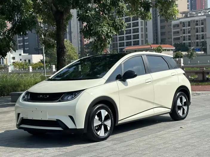 BYD Dolphin 2023 Model Fashion Edition